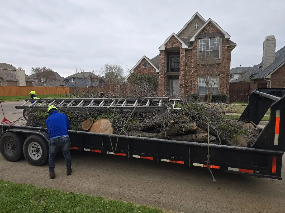 Expert Tree Fertilization with proper safety equipment in Brookings